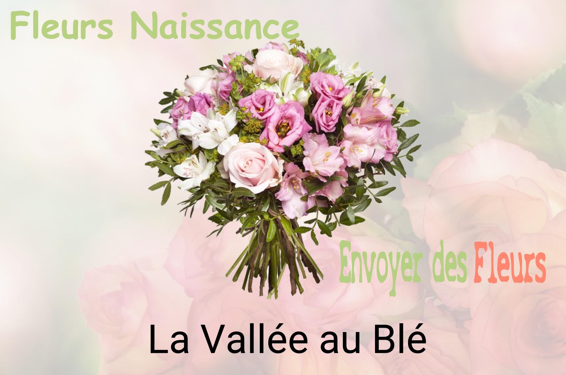 Bouquet de fleurs de naissance livré à La Vallée-au-Blé